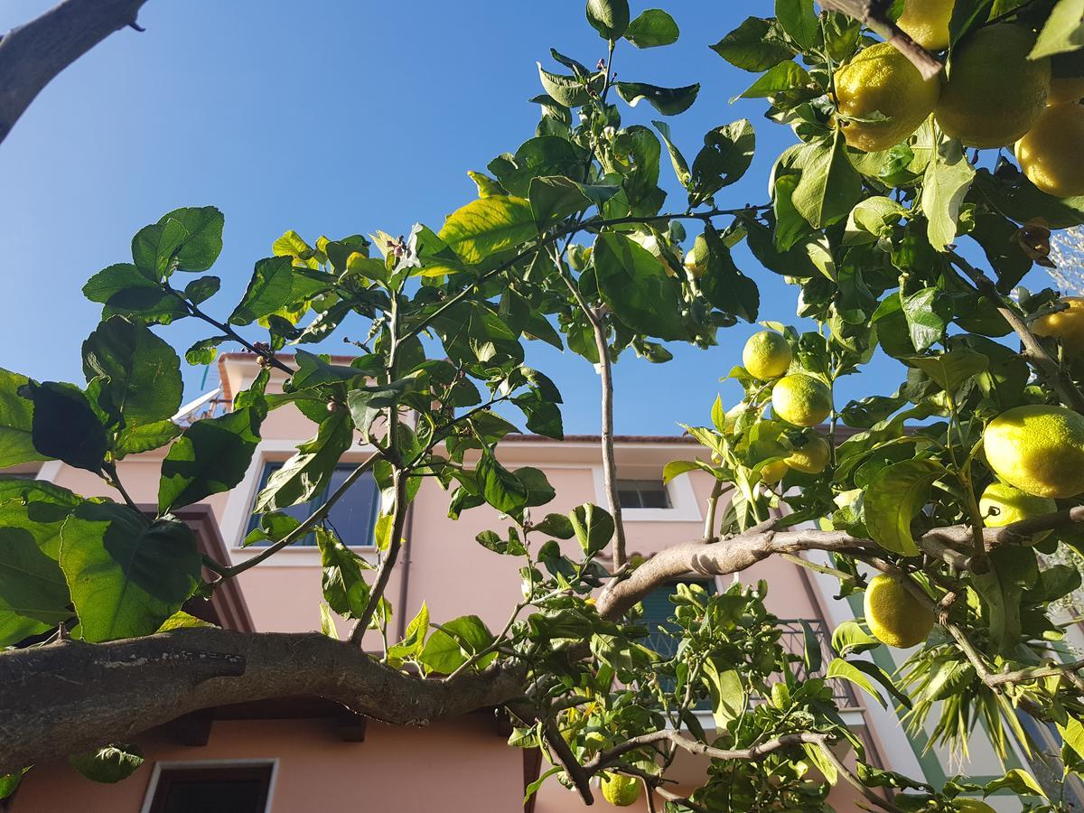 מלון מרינה די קמרוטה La Casa Di Paolo Casa Di Charme מראה חיצוני תמונה